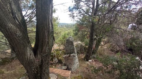 FINCA RUSTICA PARCIALMENTE PROTEGIDA . PRINCIPALMENTE MONTE. PARA CAZA, imatge 4