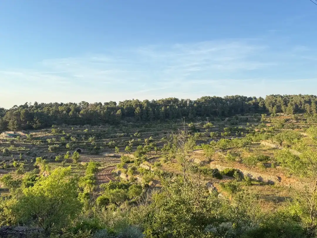 Rustikales Grundstück zum Verkauf in Tosalet 42, imagen 18