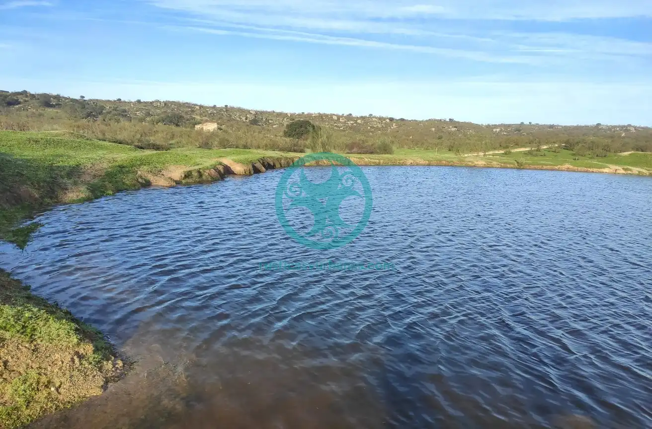 Piscina de Terreno en venta en Mata de Alcántara