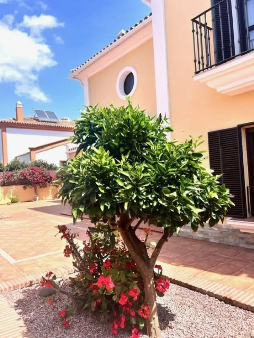 Chalet con piscina en venta en San Pedro de Alcántara, imagen 32