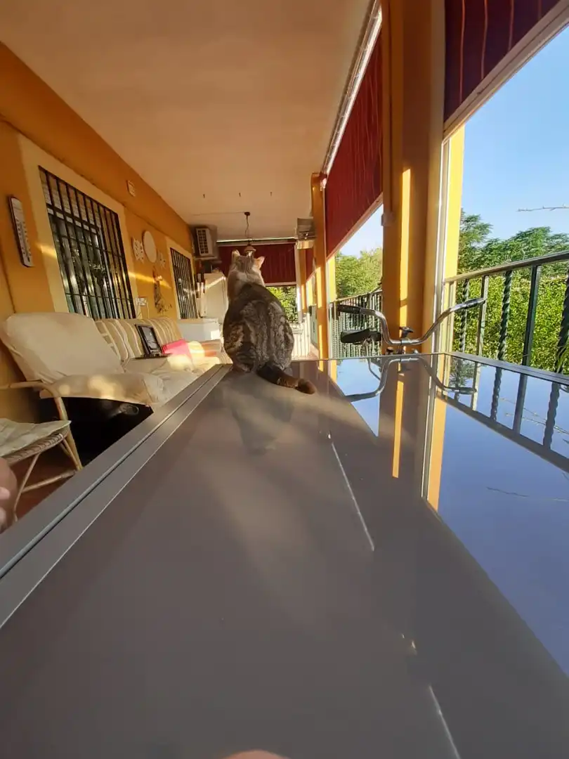 Villa zum Verkauf in Almodóvar del Río, imagen 13