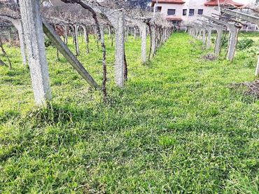 Terreno residenziale in vendita a N/A 13