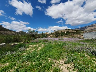 Terreno residenziale in vendita a Vélez-Rubio