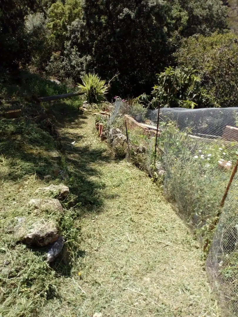 Casa rústica en venda a Comares, imagen 16