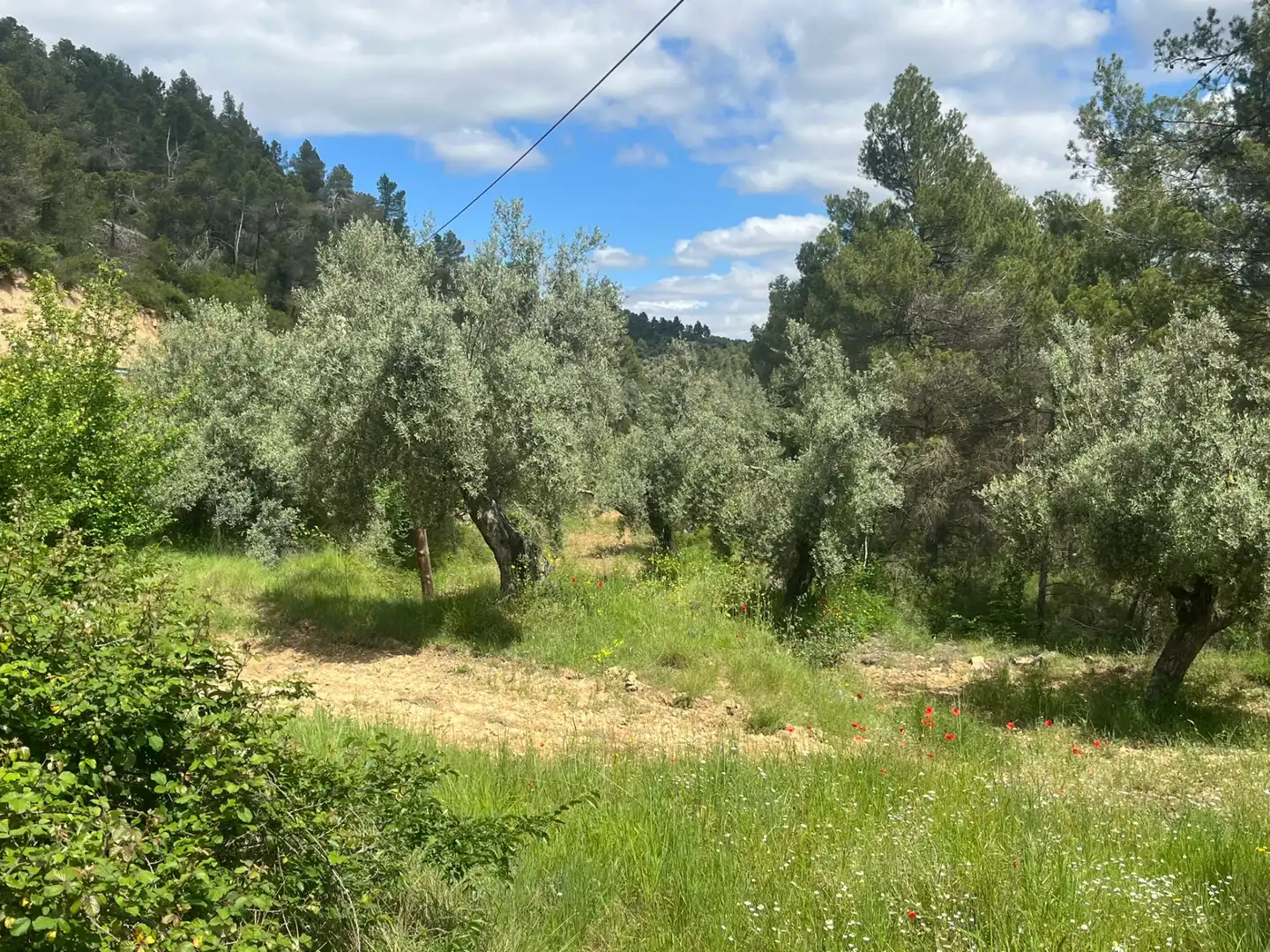 Terreni e lotti in vendita a La Fresneda, imagen 4