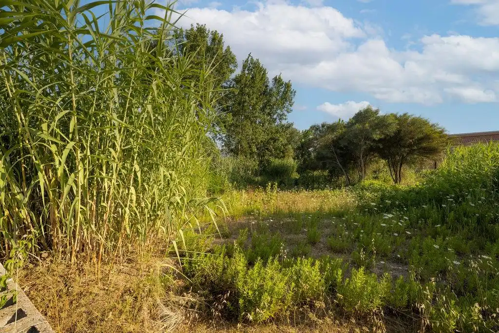 Residencial en venda en Dénia