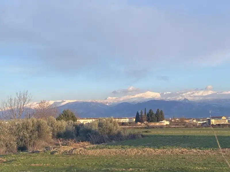 Rural land for sale in Belicena, imagen 16