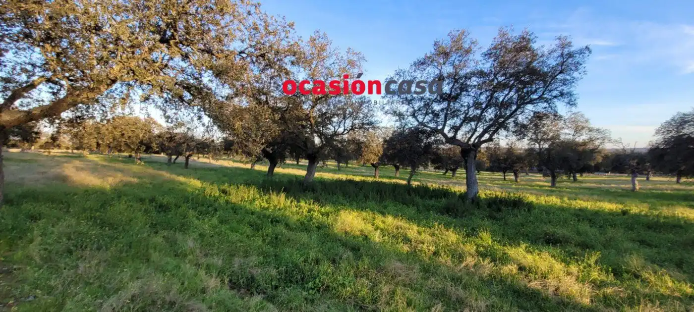 Casa rústica en venda a Pozoblanco, imagen 12