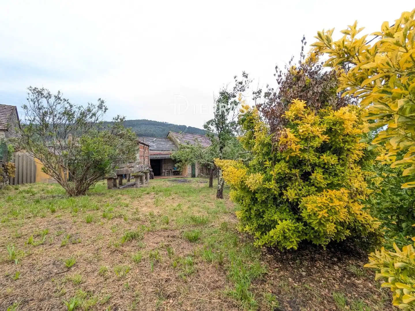 Casa o xalet en venda en Pontevedra Capital  amb Jardí privat i Terrassa