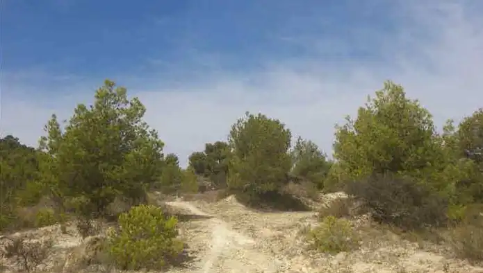 Rural land for sale in Ptda La Robella, Sector el Arquet, imagen 6