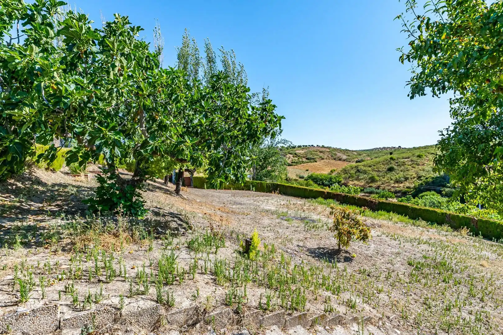 Casa o chalet en venta en Mesegar de Tajo con Piscina y Amueblado
