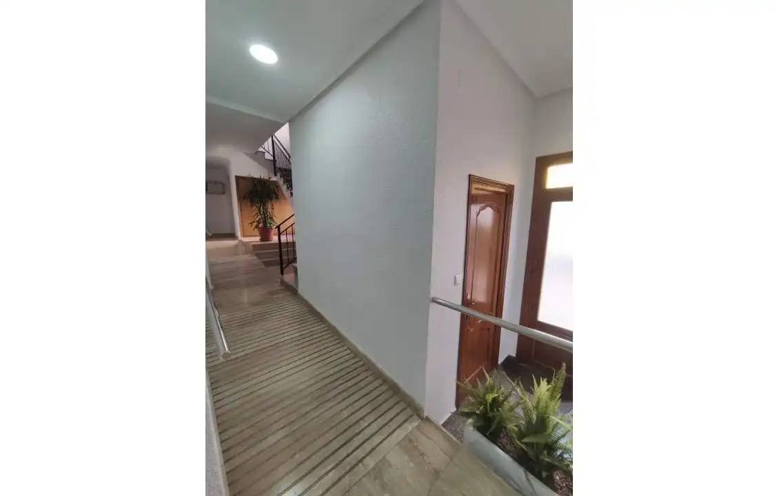 Flat for share in Elche / Elx