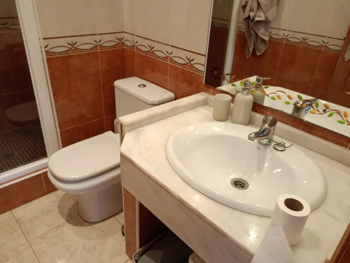 Apartament amb ascensor de lloguer a Passeig Marítim de Neptú 73, imagen 26