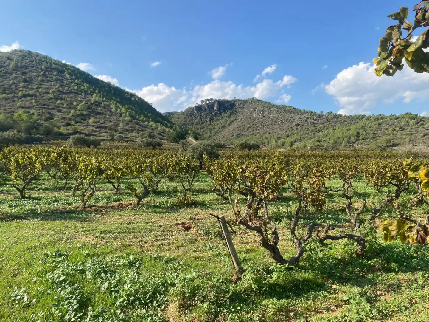 Casa rústica en venta en Albinyana, imagen 21