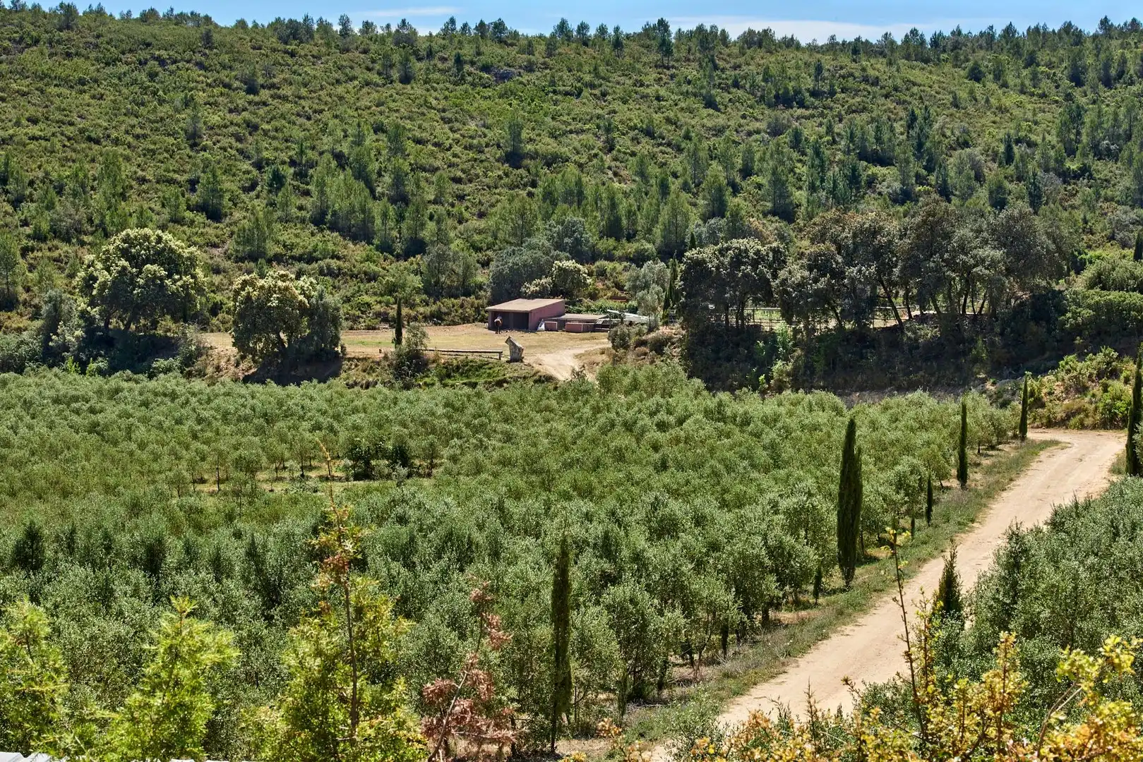 Jardín de Finca rústica en venta en Enguera con Calefacción, Jardín privado y Terraza