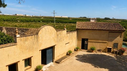 Foto 3 de Finca rústica en venta en Oliva pueblo, Oliva