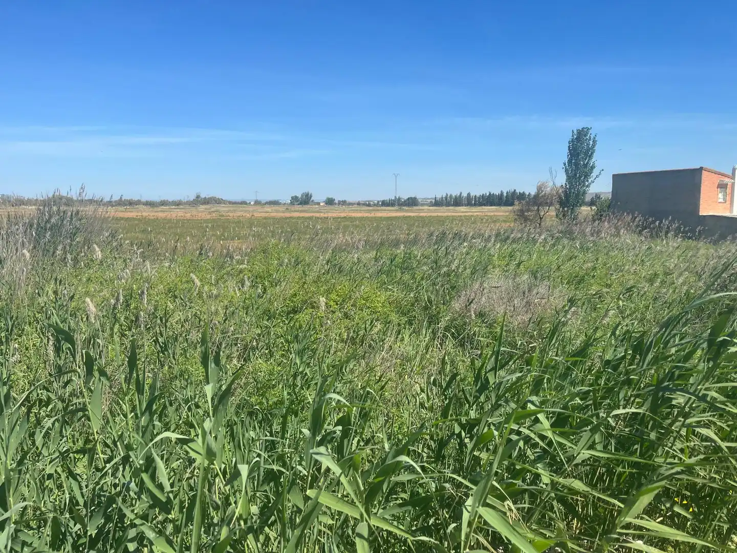 Residencial en venda en Alfajarín