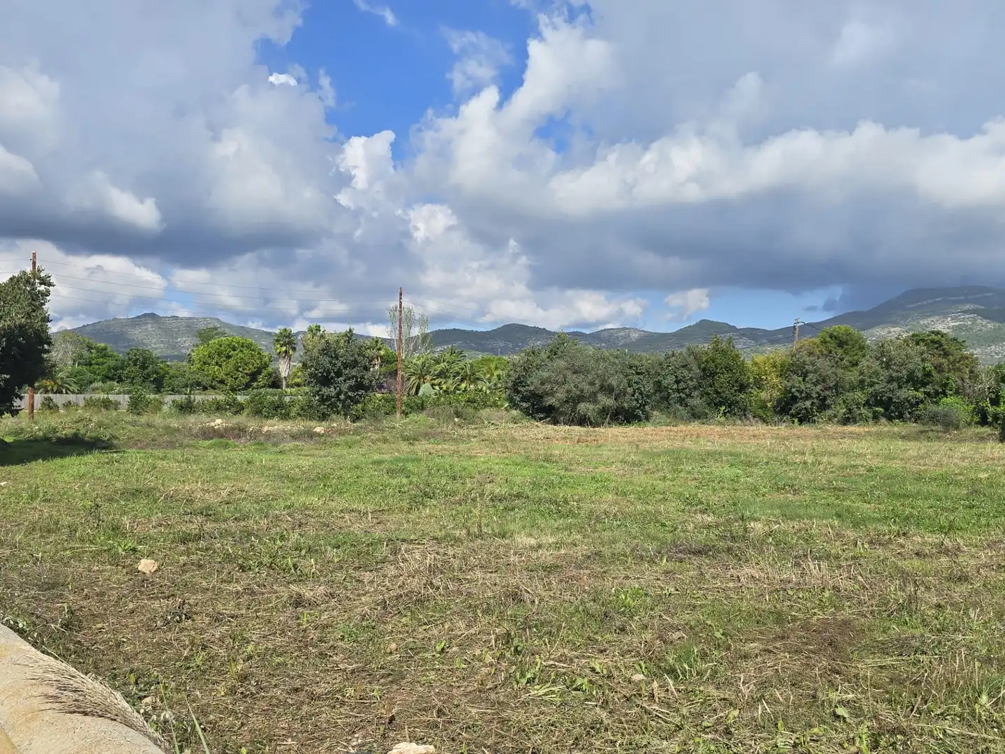 Terrain rustique à vendre à Partida las Casas, imagen 4
