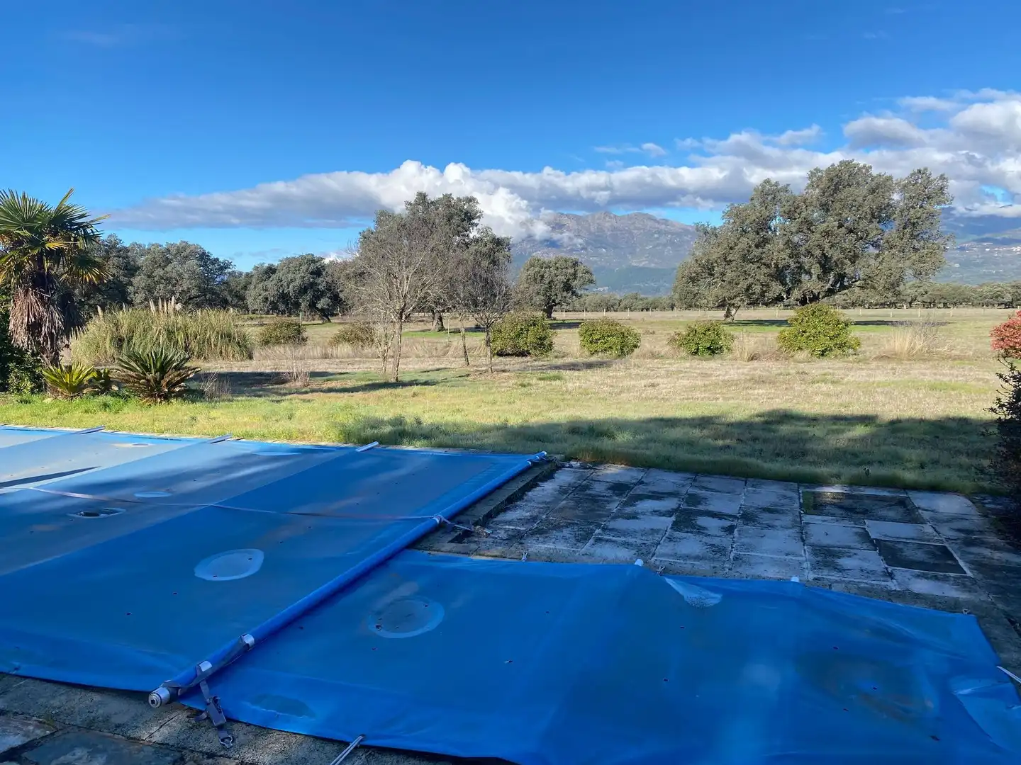 Finca rústica en venta en Buenaventura