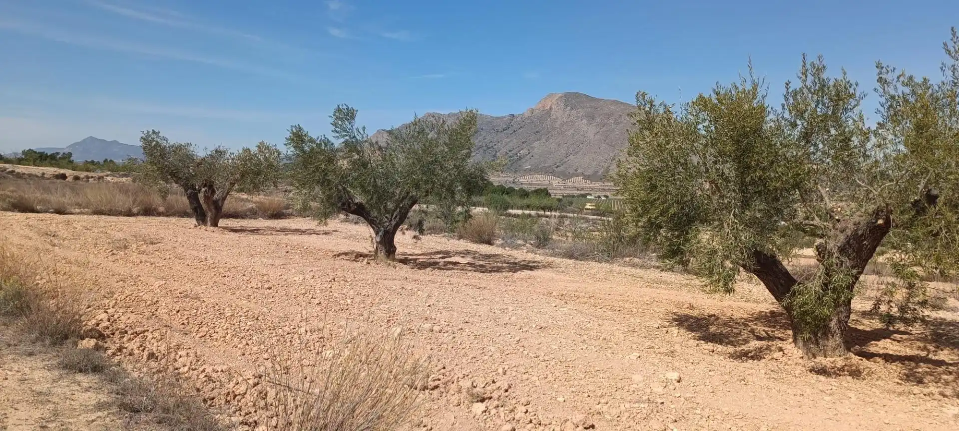 Country house zum Verkauf in Orihuela