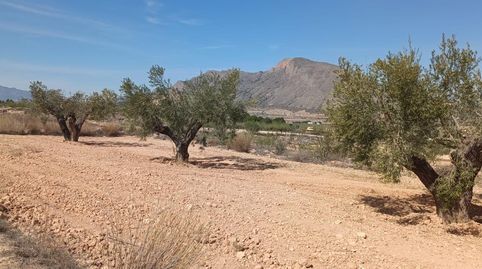Foto 2 von Country house zum Verkauf in La Murada - Los Vicentes, Orihuela