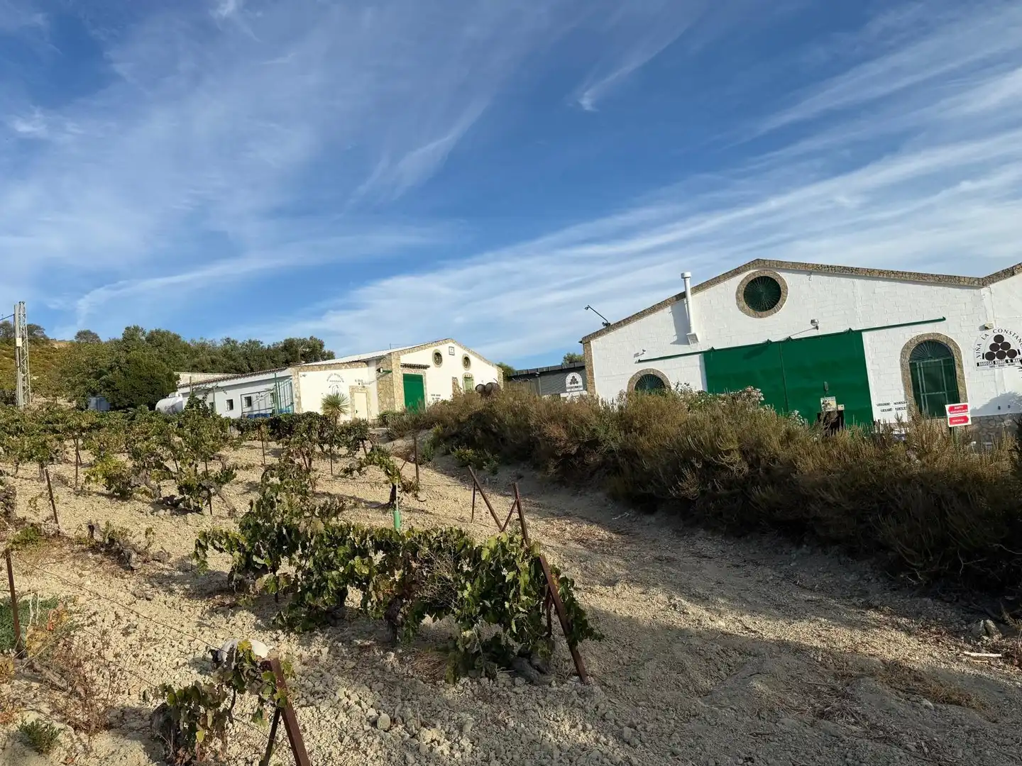 Local comercial en venta en Jerez Sur, imagen 6