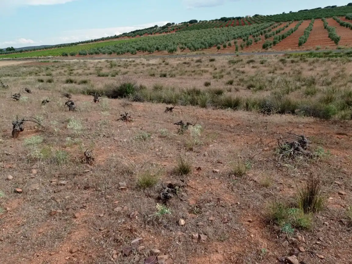 Finca rústica en venda en Cózar