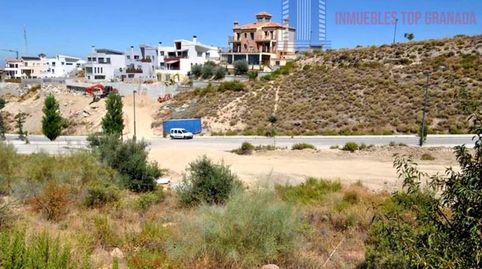 PadulTerreno, immagine 2