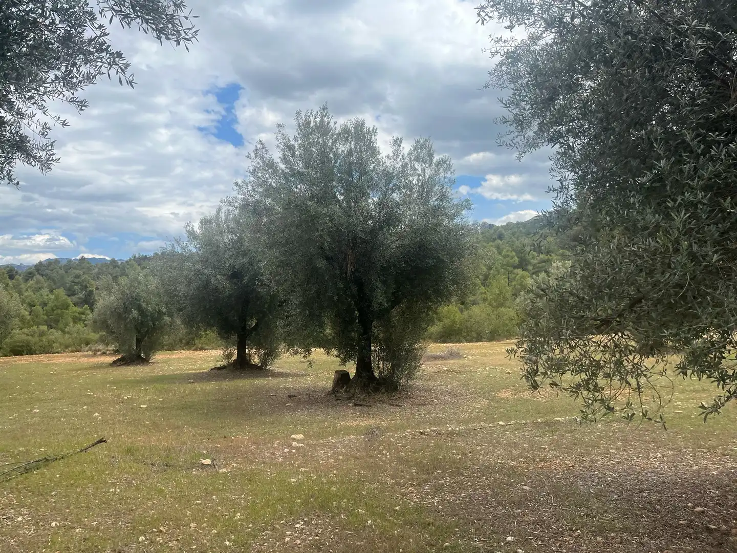 Terreni e lotti in vendita a Cretas, imagen 8