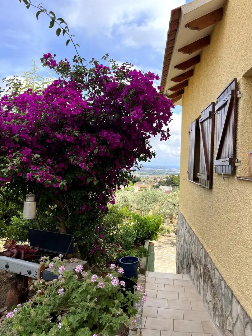 Casa o chalet en venta en La Bisbal del Penedès