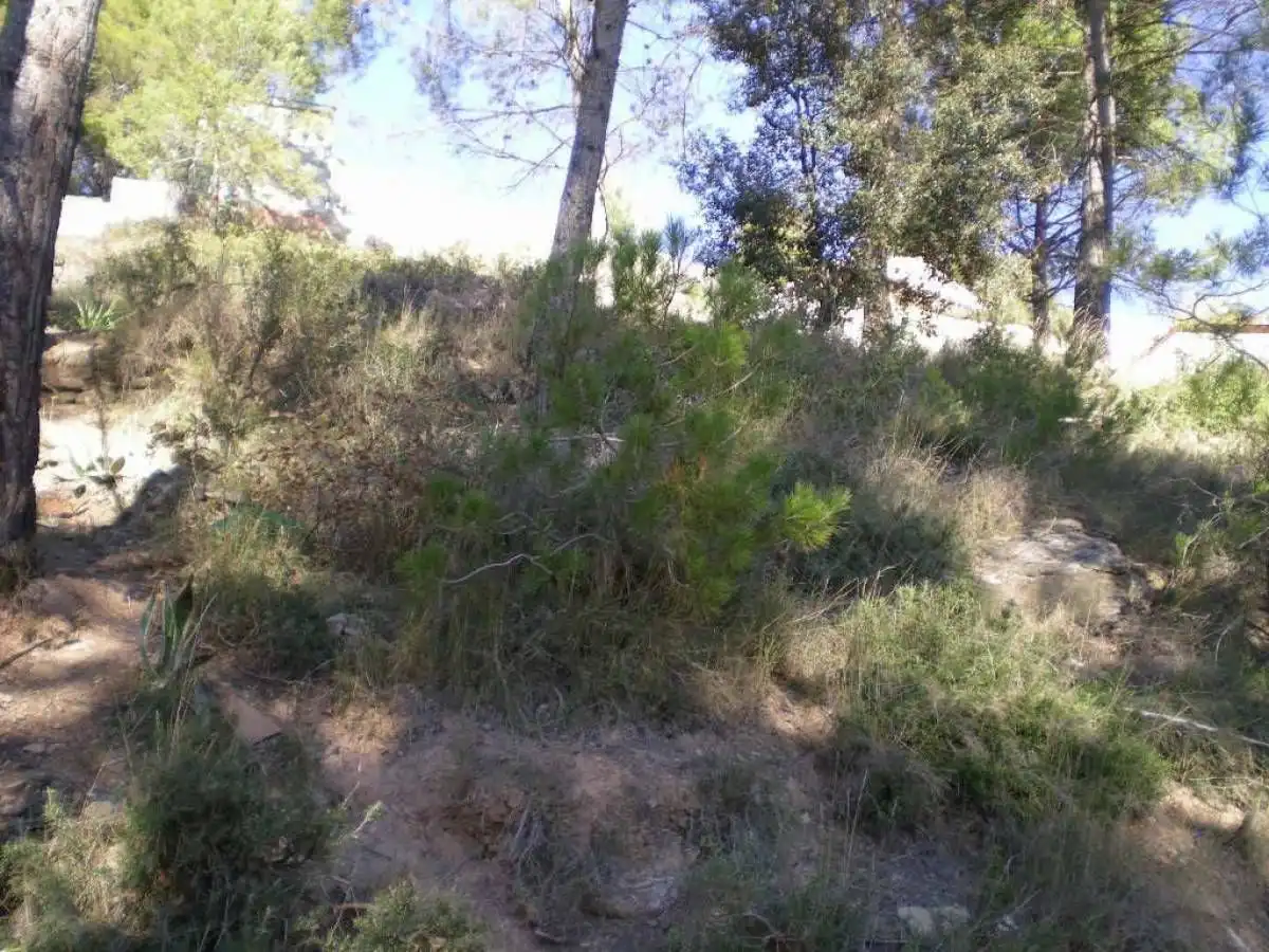 Terrenys i solars en venda a Castellnou de Bages, imagen 2