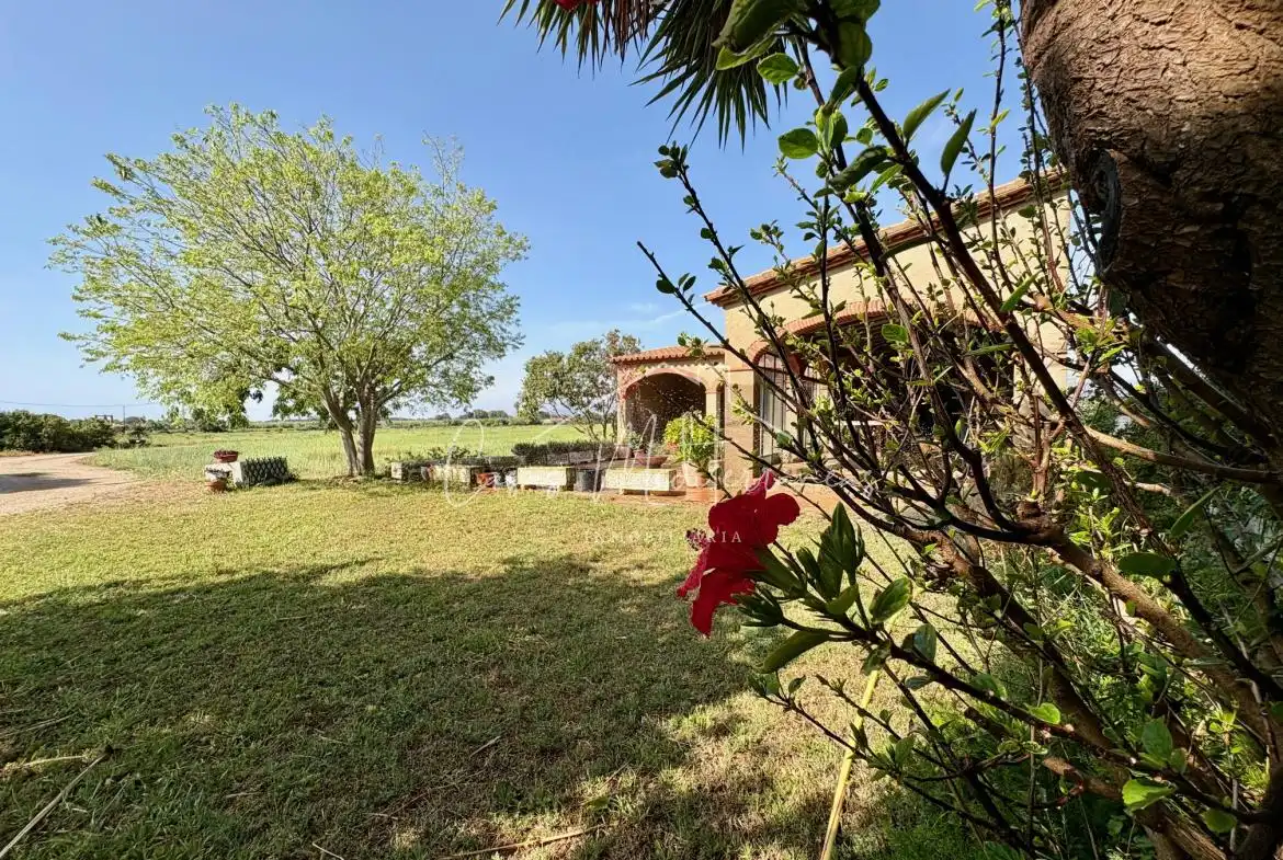 Terreny rústic en venda a Ardiaca - La Llosa, imagen 3