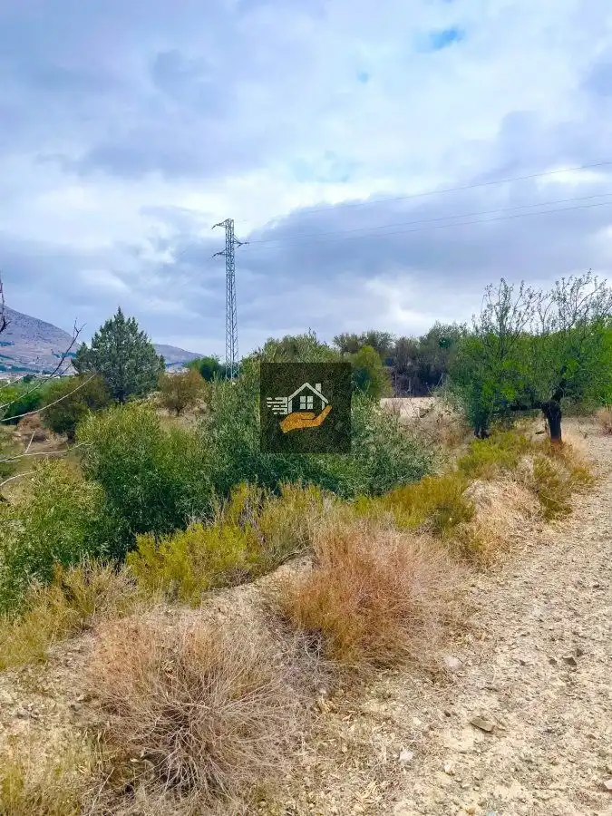 Residential land for sale in Vélez-Rubio, imagen 2