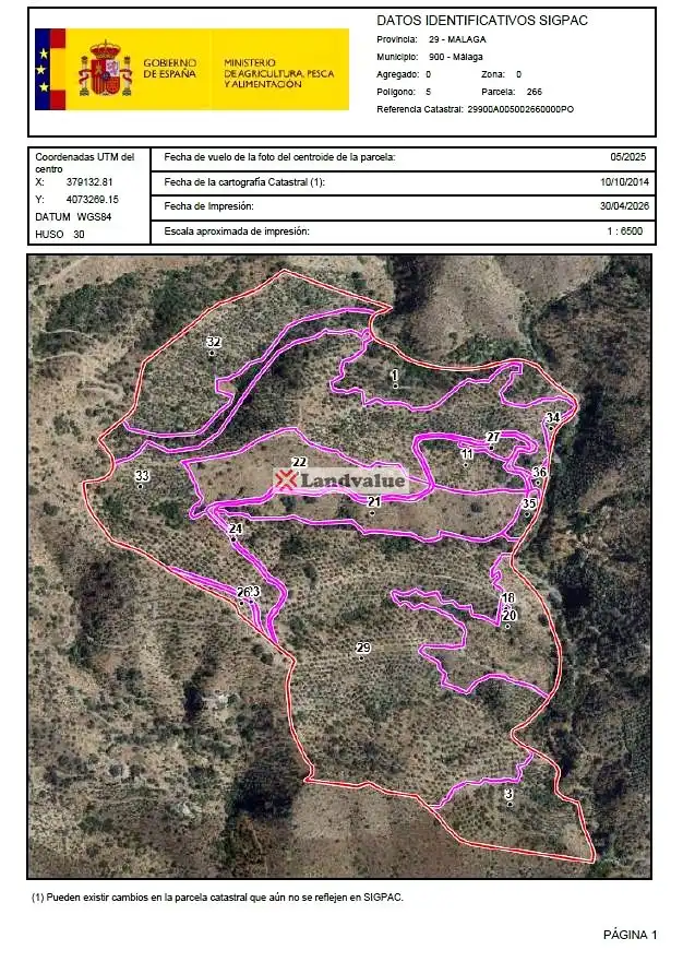 Terrenys i solars en venda a PARAJE JABONEROS Y OTROS, imagen 15