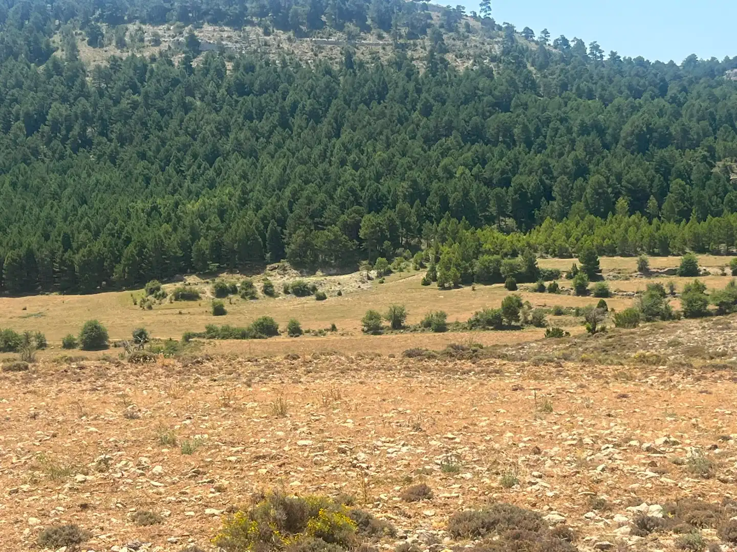 Terreno en venta en Peñarroya de Tastavins