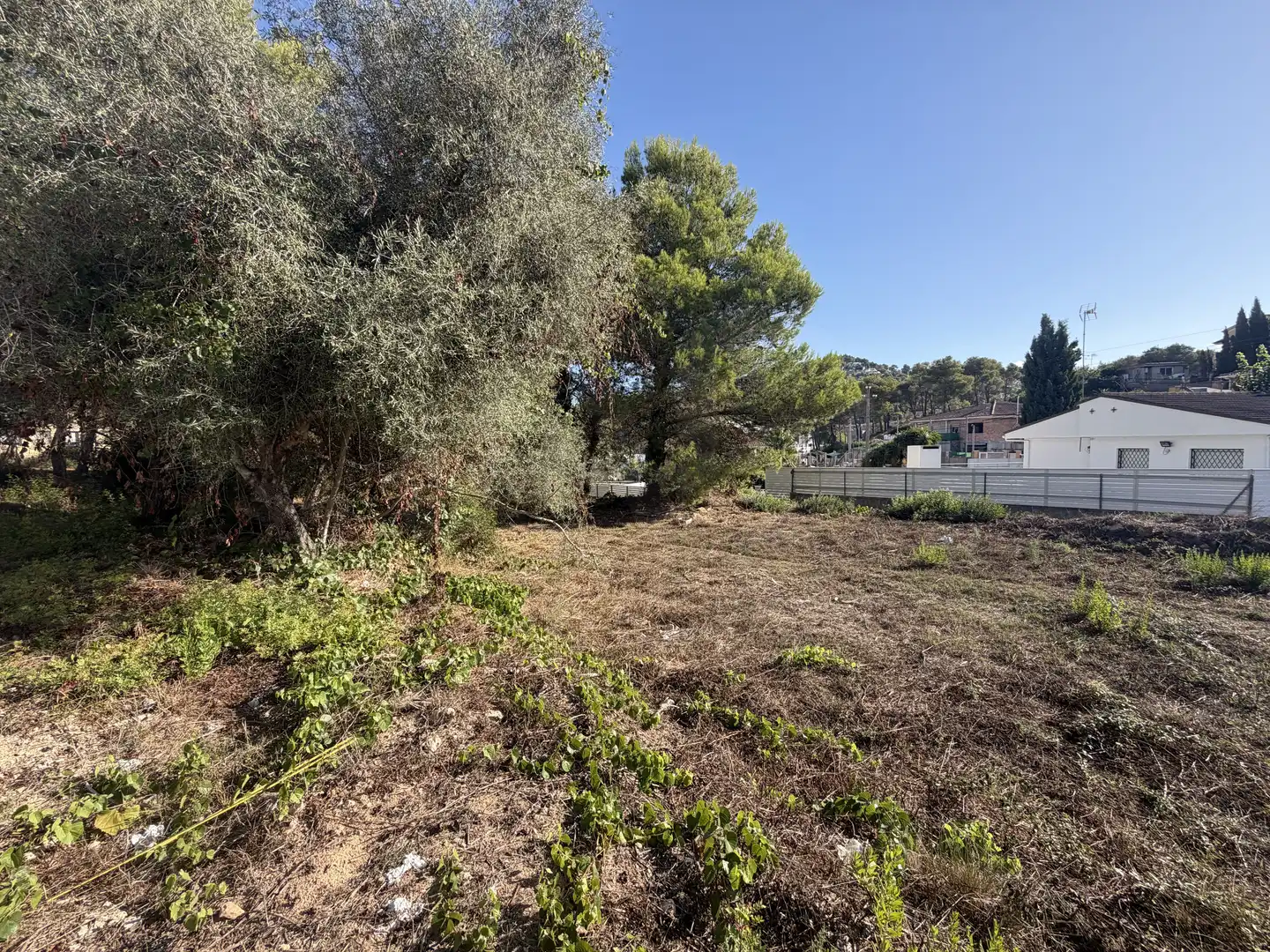 Terreny residencial en venda a Canyelles, imagen 21
