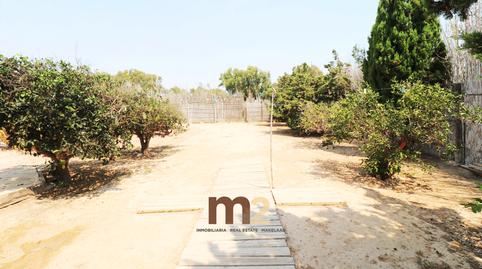 Foto 3 de Finca rústica en venta en Partida Moncayo, El Moncayo - El Pòrtic, Alicante