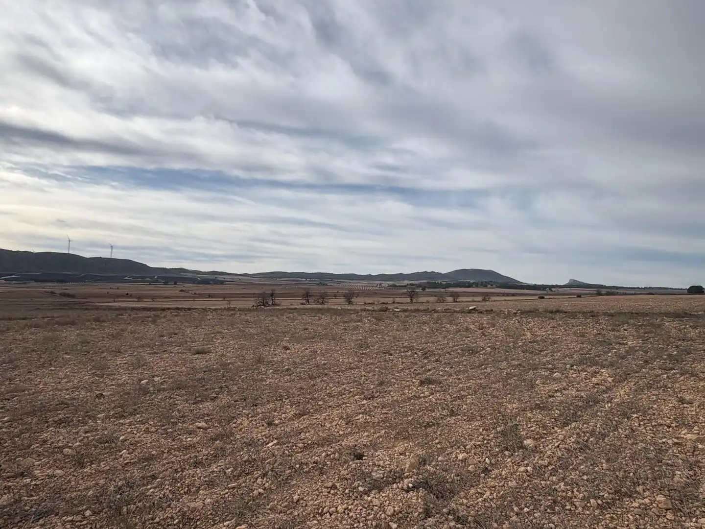 Finca rústica en venta en Ontur