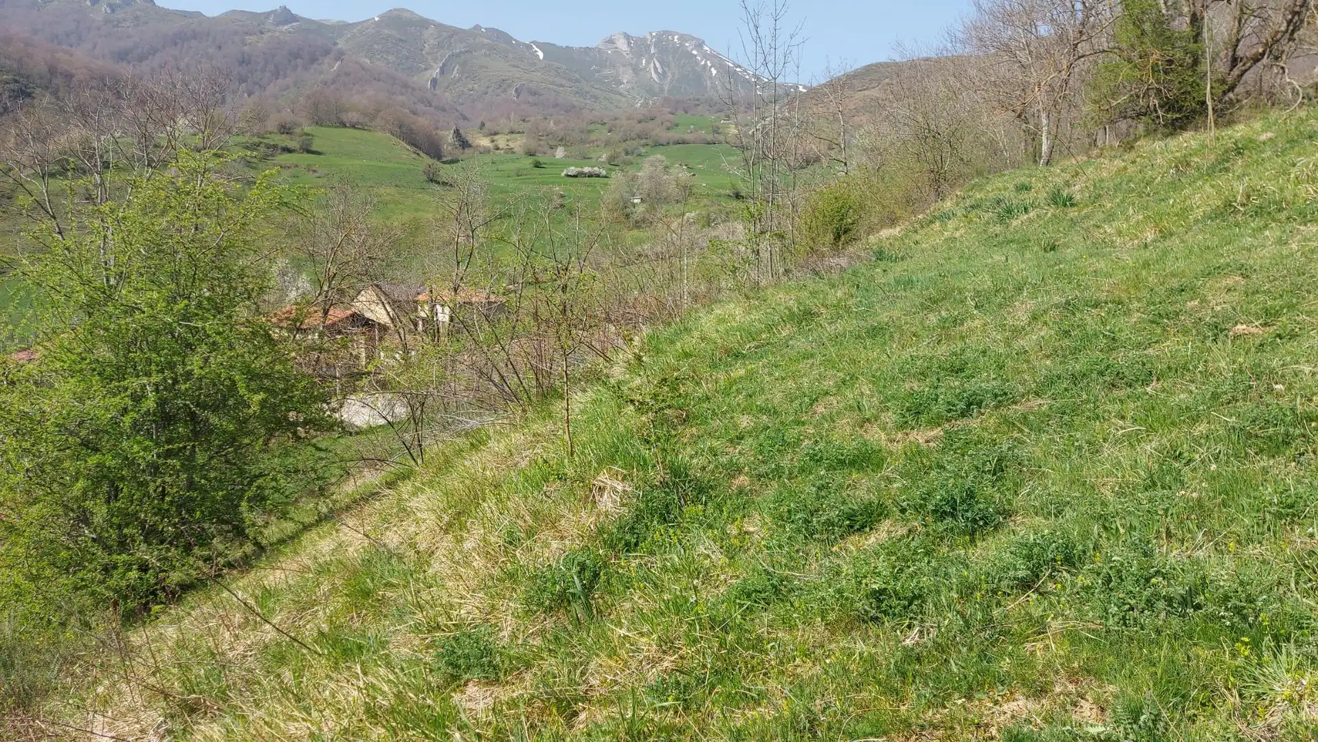 Terreni e lotti in vendita a Pesaguero, imagen 5