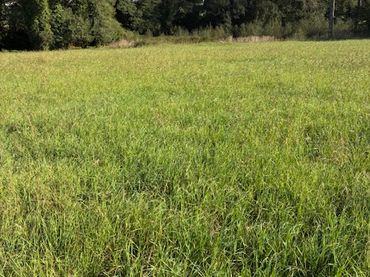 Terreny residencial en venda a A Laracha
