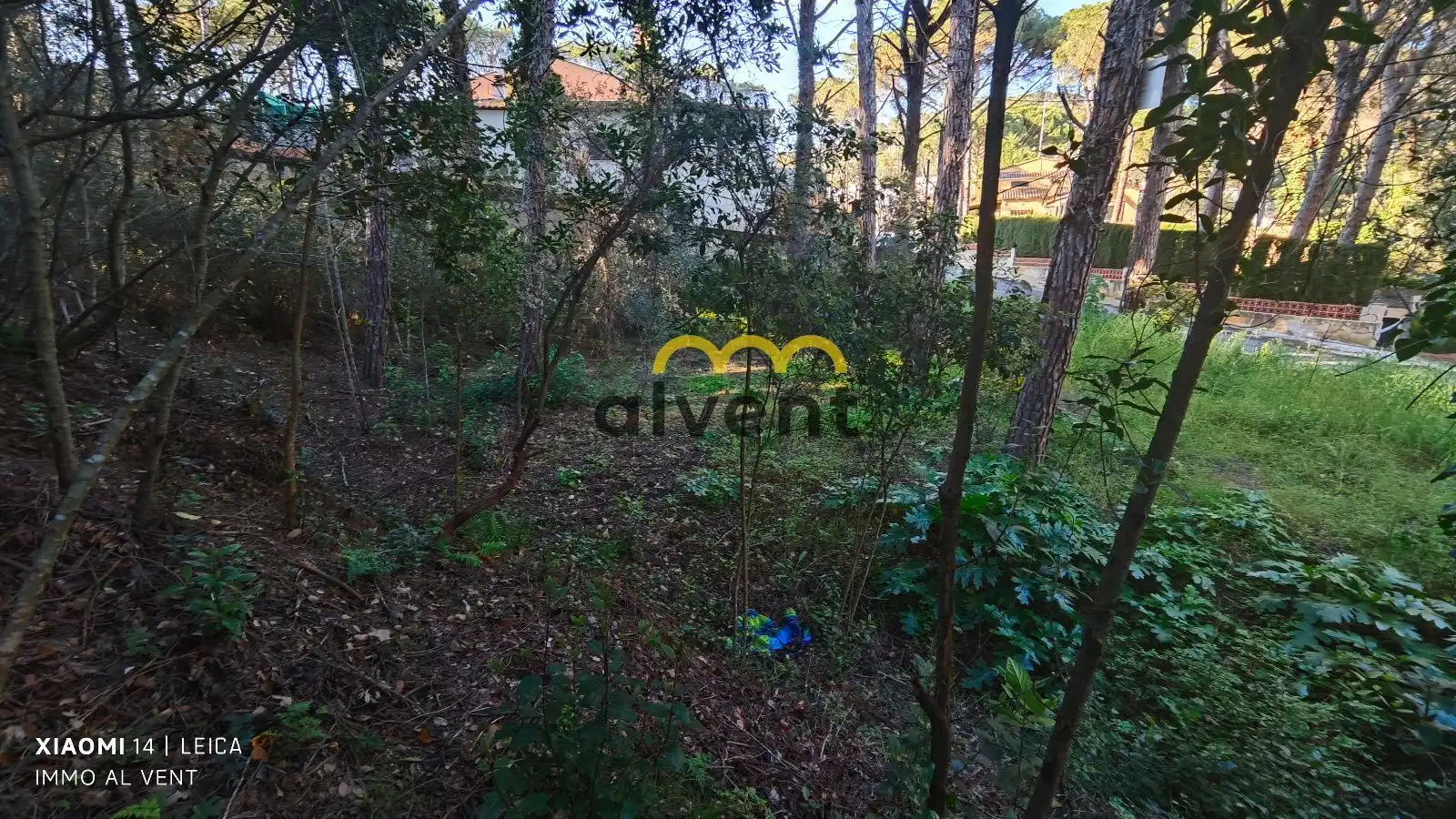 Rural land for sale in Manxa, imagen 28