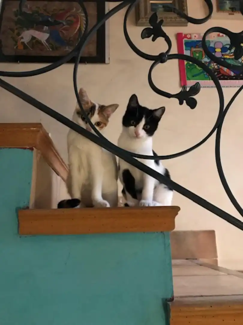 Habitación en La Cañada