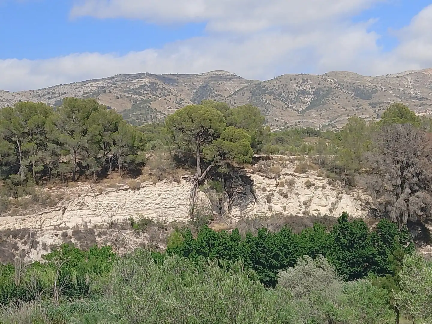 Terreno rustico in vendita a N/A, imagen 99