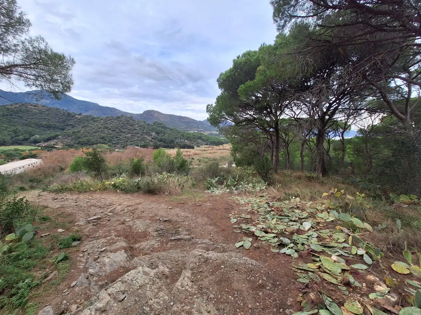 Rural land for sale in El Port de la Selva