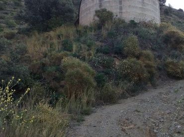 Casa rústica amb jardí en venda a Camino del rescate