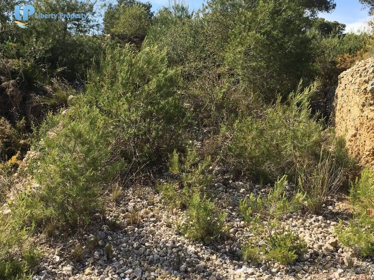 Terreno residencial en venta en Mas Trader - Corral d'En Tort - Corral d'En Cona, imagen 19