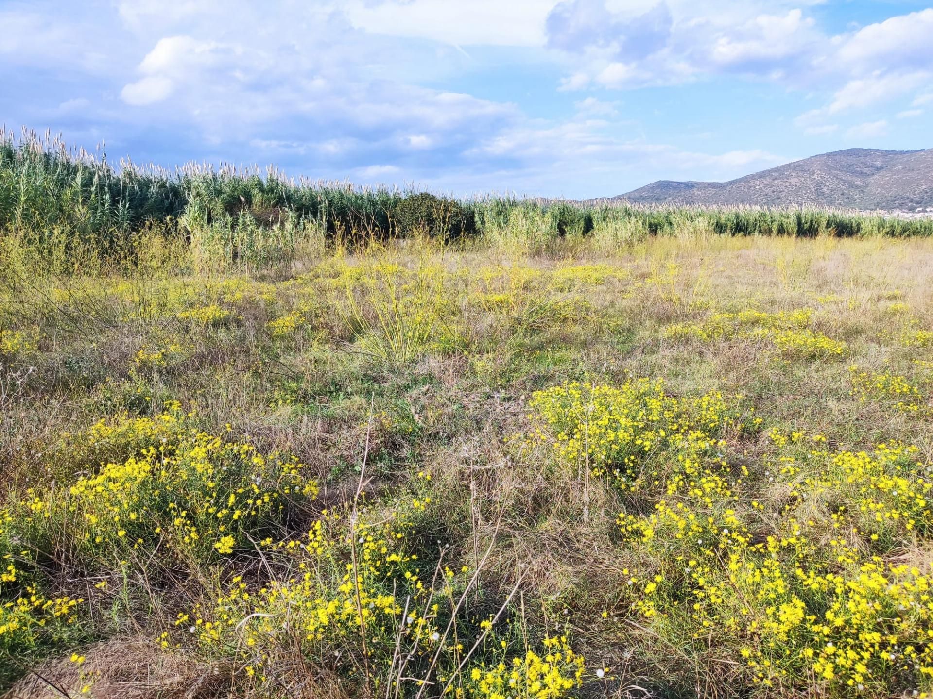 Residencial en venda en Vilamacolum