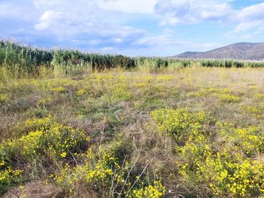 Terrenys i solars en venda a de Vilamacolum