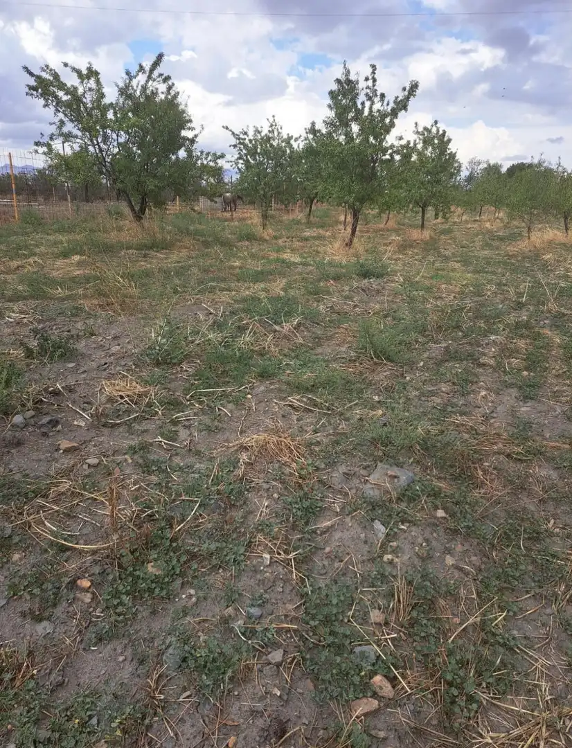 Lands and plots for sale in Lanteira, imagen 4
