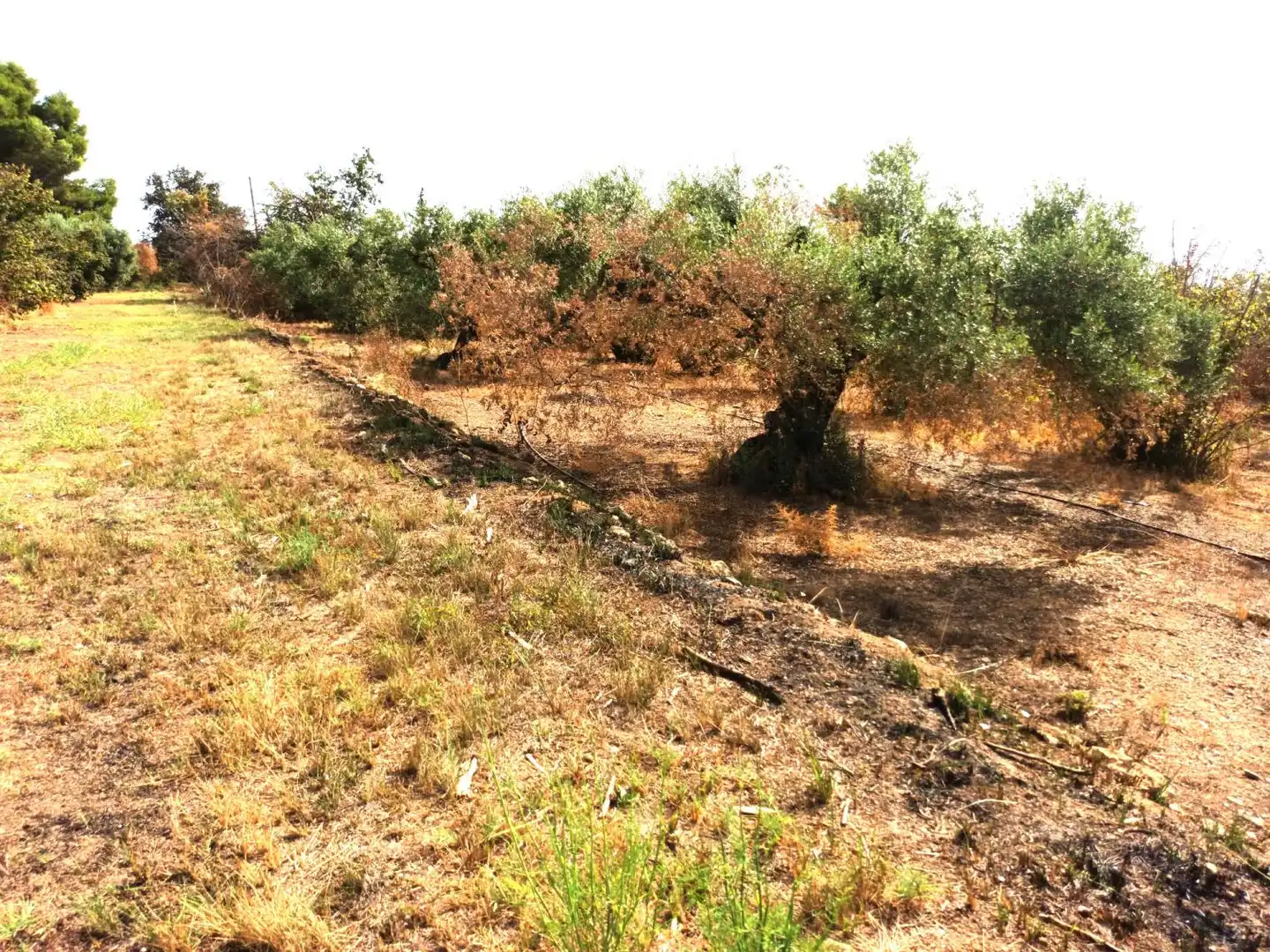 Country house for sale in Constantí, imagen 8